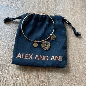 Alex and Ani bracelet